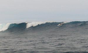 Another really fun wave at Chicken Hill.